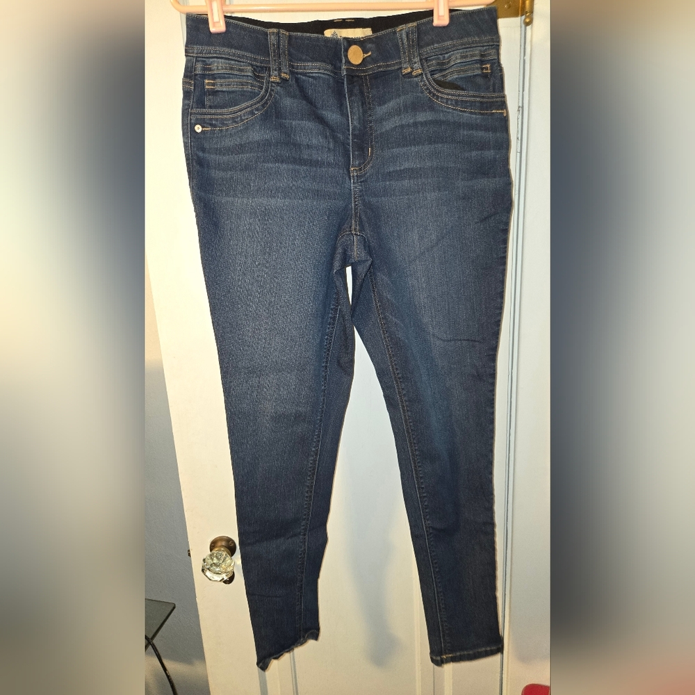 Democracy Dark Blue Skinny Jeans